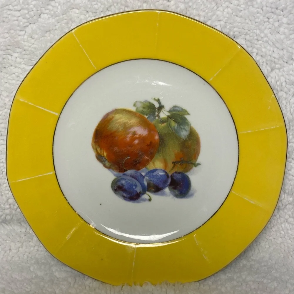 Set: Vintage Early 1900’s Victoria of Czechoslovakia China Gold Rimmed Plates